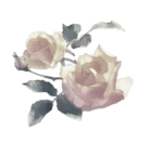  rose beige (467x413, 161Kb)