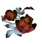  rose russet (415x430, 160Kb)