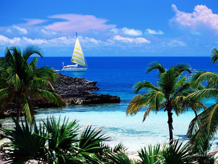 1202157917_eleuthera-point-harbour-island-bahamas (700x525, 106Kb)