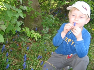 IMG_4077 (314x235, 63Kb)