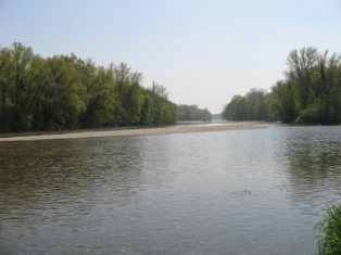 IMG_4072 (314x235, 38Kb)