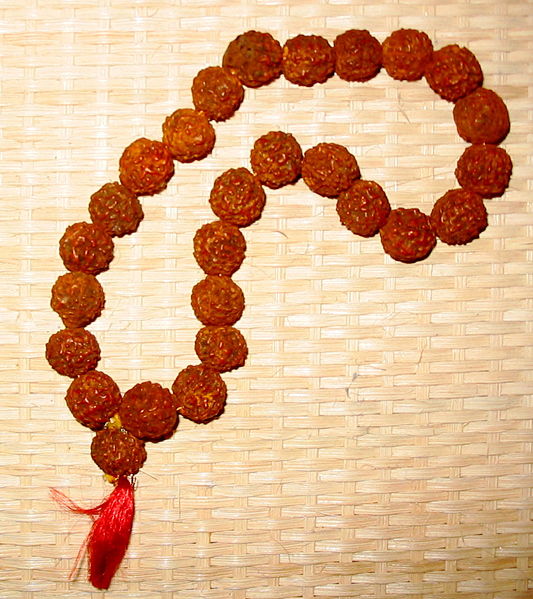 42691279_1240044527_533pxRudraksha_beads (533x599, 82Kb)