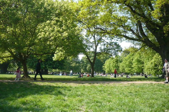 P1060488 (700x465, 206Kb)