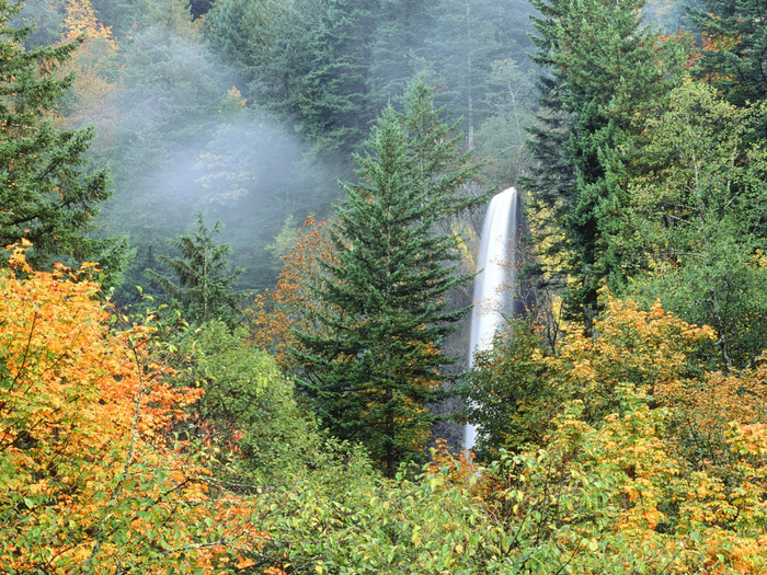 Latourell Falls, Columbia River, Oregon - 1600x1 (700x525, 282Kb)