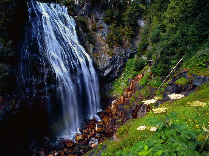 Narada Falls, Mount Rainier National Forest, Was (700x525, 219Kb)