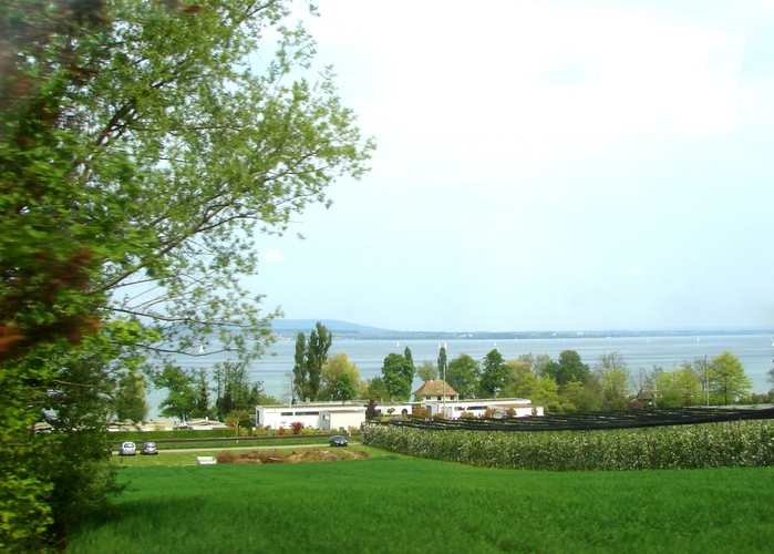 DSC00544 (700x500, 205Kb)