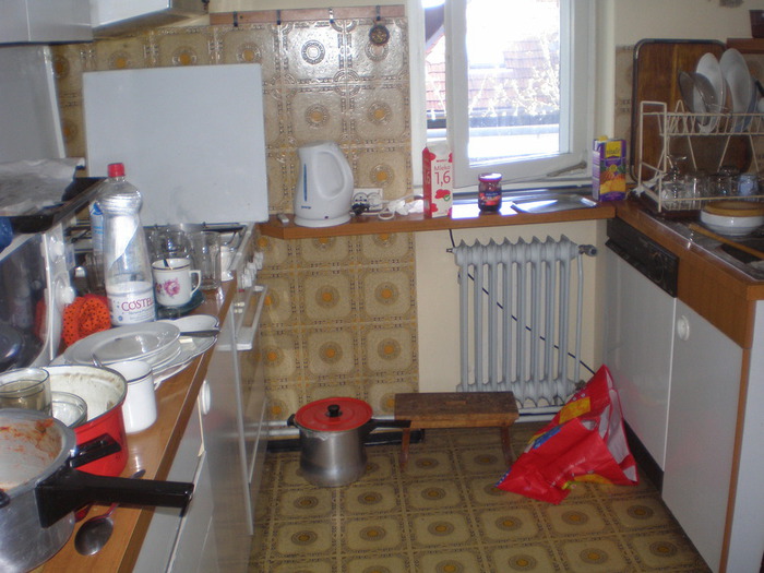 P4020051 (700x525, 115Kb)