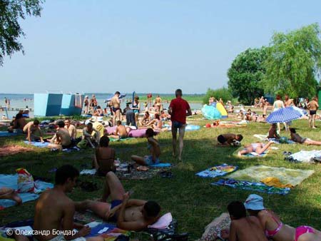 3869930_Svitaz_3 (450x338, 68Kb)