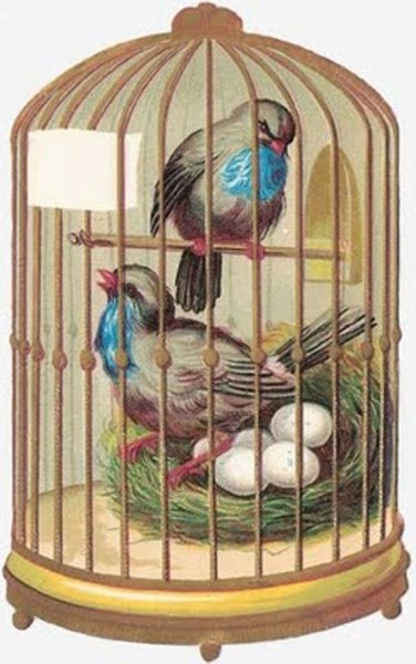 4174626_bascrap_birdcage2 (376x600, 61Kb)