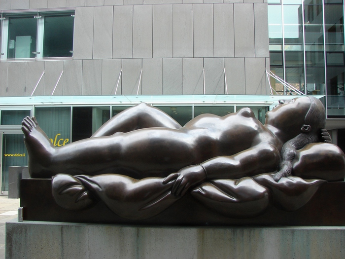 DSC00491 (700x525, 170Kb)