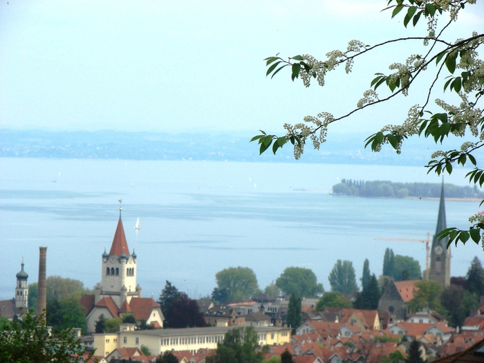 DSC00530 (700x525, 193Kb)