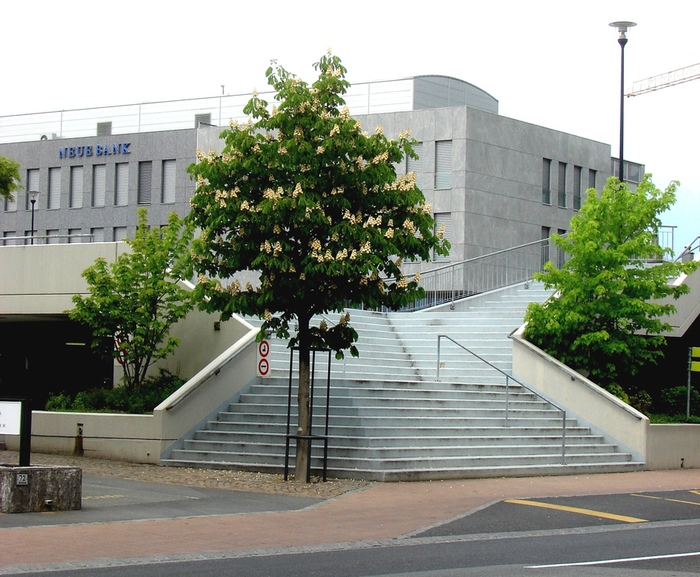 DSC00484 (700x577, 243Kb)