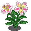 Alstroemeria_Lily_(Spring_Basket)-icon (100x100, 14Kb)