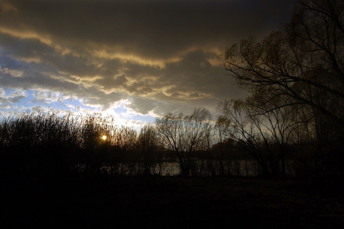 3392780_DSC_8290 (700x465, 86Kb)