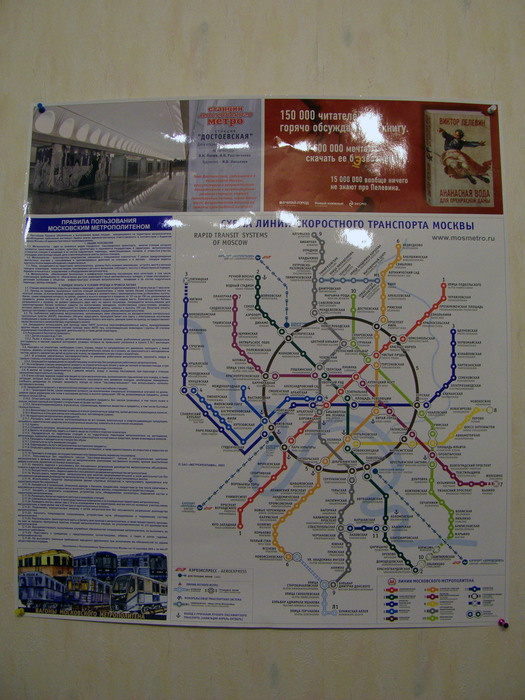 P4286756 (525x700, 150Kb)