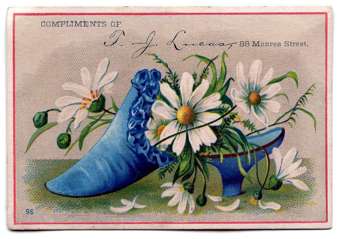 shoeflowers-graphicsfairy007bl (700x492, 133Kb)