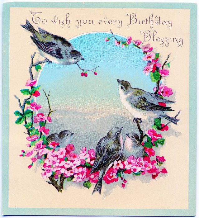 1birthdaybirds-graphicsfairy012 (639x700, 127Kb)