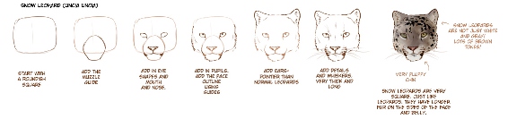 1615945_how_to_draw_big_cats_part_1_by_tamberellad3f2ibz (566x133, 36Kb)