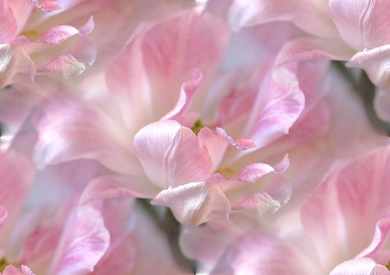 0_a6517_b9fd0f2d_XL (560x395, 24Kb)