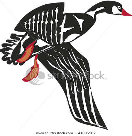 stock-vector-flying-goose-rendered-in-northwest-coast-native-style-41005582 (450x462, 50Kb)