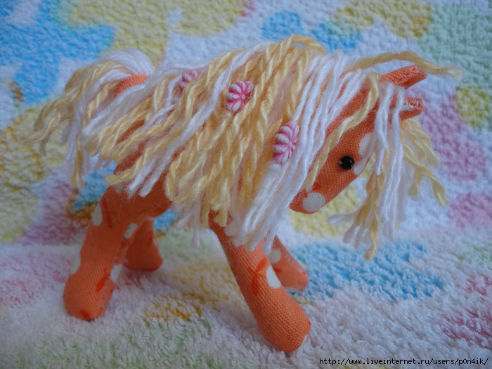 DSC01656 (700x525, 270Kb)