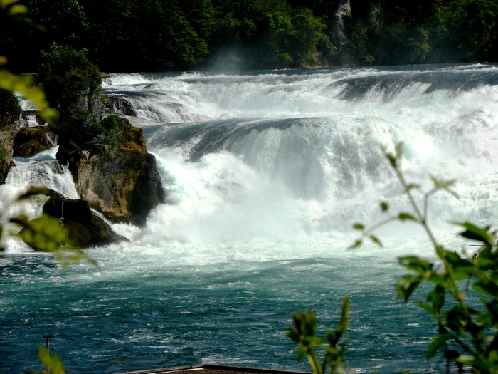 DSC00027 (700x525, 206Kb)