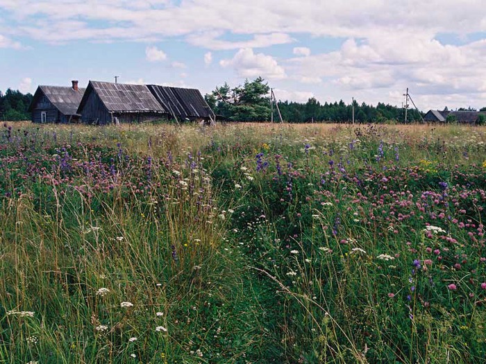 Деревенская фотография читать