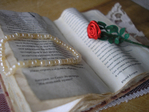  P1012627 (700x525, 266Kb)