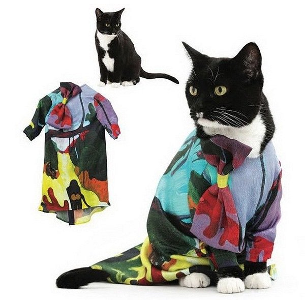cat_fashion_03 (600x590, 63Kb)