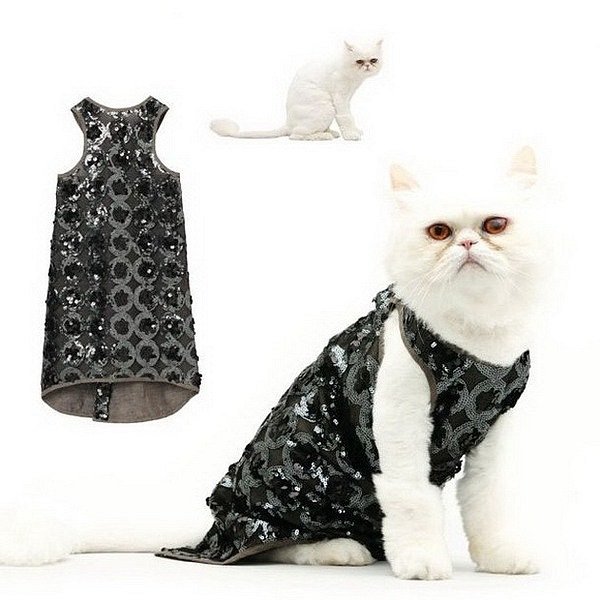 cat_fashion_09 (600x600, 59Kb)