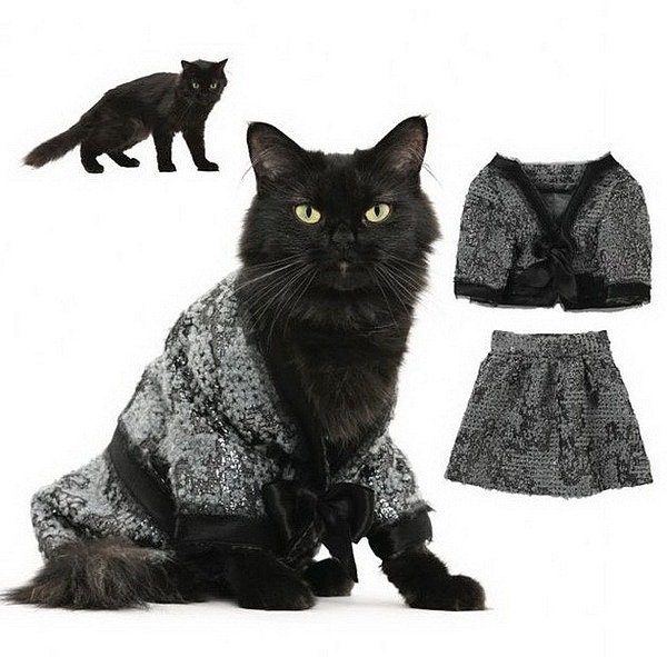 cat_fashion_11 (600x591, 67Kb)