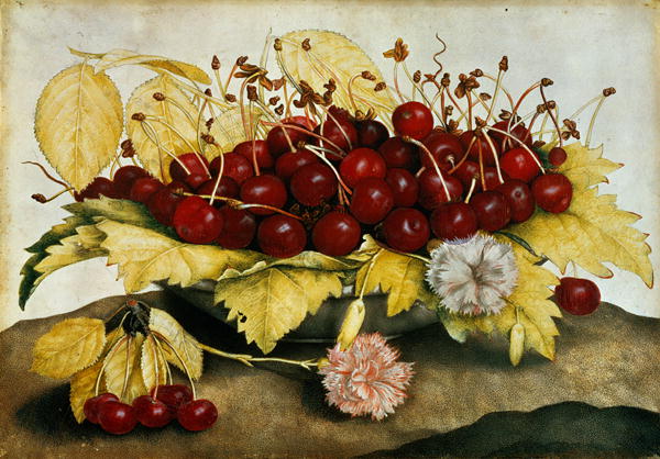 Giovanna-Garzoni-Cherries and Carnations (600x418, 65Kb)
