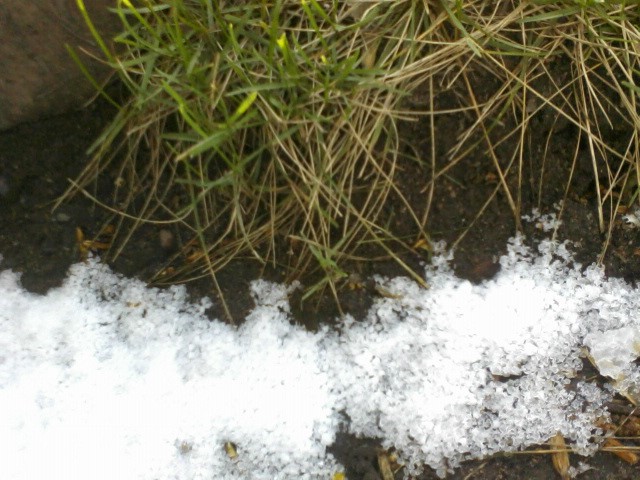 /3646768_0429 (640x480, 99Kb)