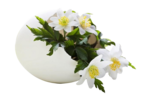  MR_Wood Anemones in Duck Egg (700x457, 209Kb)