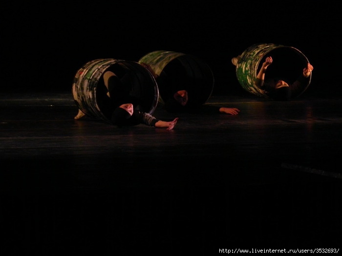 DSCN4851 (700x525, 89Kb)
