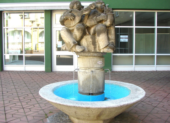 DSC00165 (700x508, 196Kb)