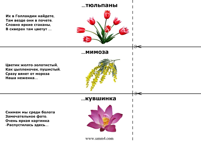 zagadki-s-otvetami-zagadki-pro-veti-2 (700x494, 93Kb)