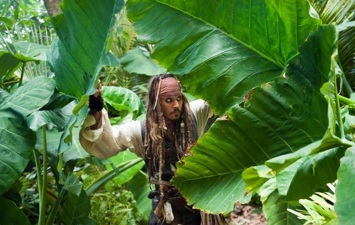 Pirates-of-the-Caribbean_3A-On-Stranger-Tides-1462660 (700x444, 107Kb)