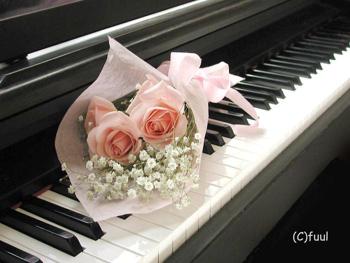 2006-07-04_165045_flower-piano_fuul (700x525, 51Kb)