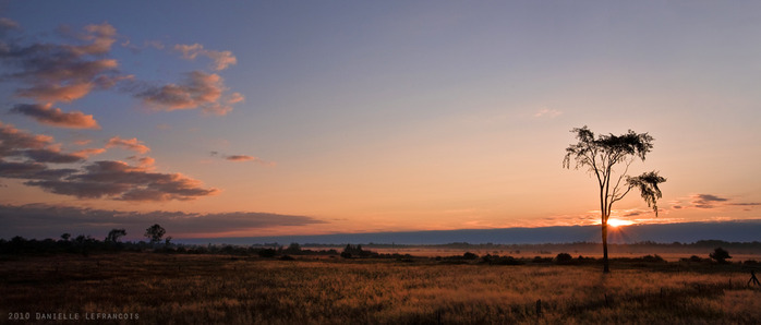 cameron_ranch_by_photographybydani-d3150h3 (700x298, 52Kb)