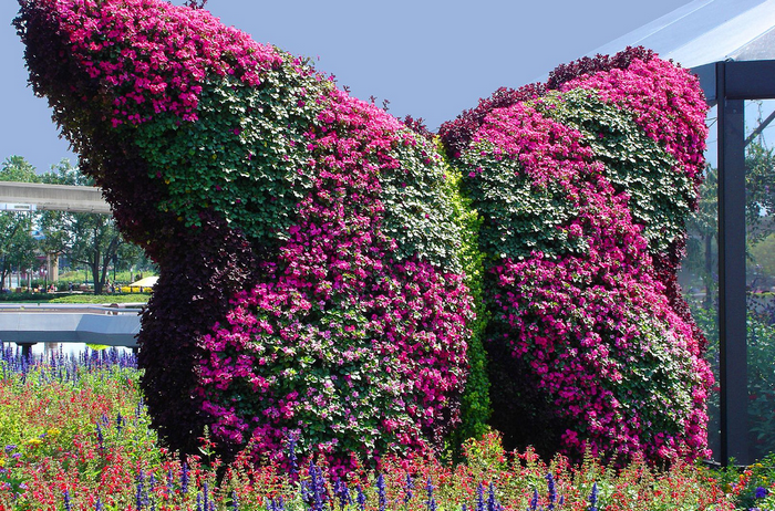 All sizes  Epcot's Flower and Garden Festival  Flickr - Photo Sharing! (700x462, 832Kb)