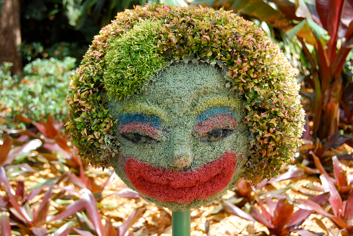 All sizes  Topiary Head  Flickr - Photo Sharing! (700x468, 925Kb)