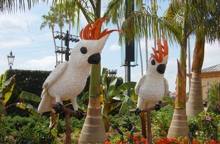 All sizes  Bird Topiaries  Flickr - Photo Sharing! (700x461, 855Kb)