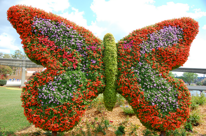 All sizes  Butterfly Topiary  Flickr - Photo Sharing! (700x462, 809Kb)