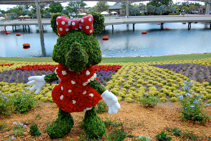 All sizes  Mini Mouse Topiary  Flickr - Photo Sharing! (700x467, 902Kb)