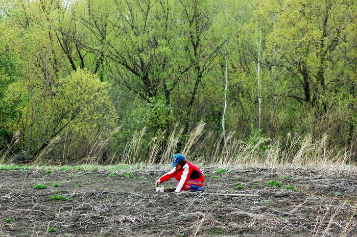 3392780_DSC_8456 (700x465, 216Kb)