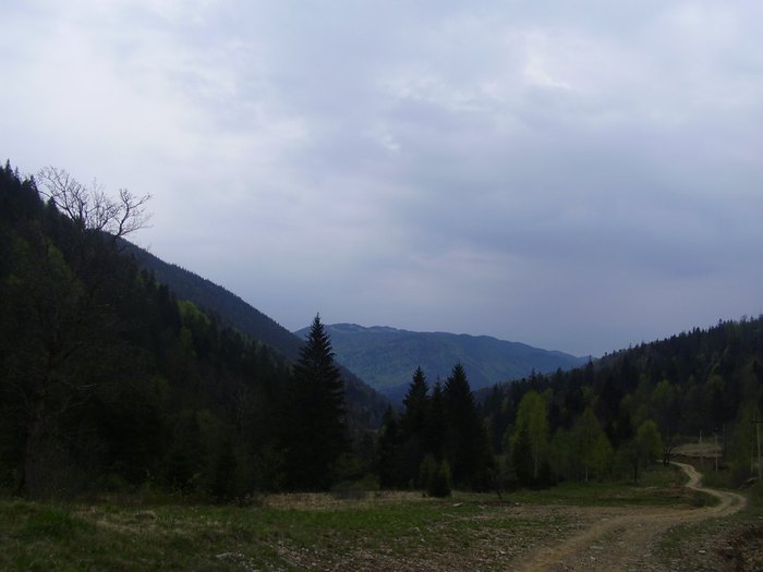 3869930_P1010022 (700x525, 38Kb)