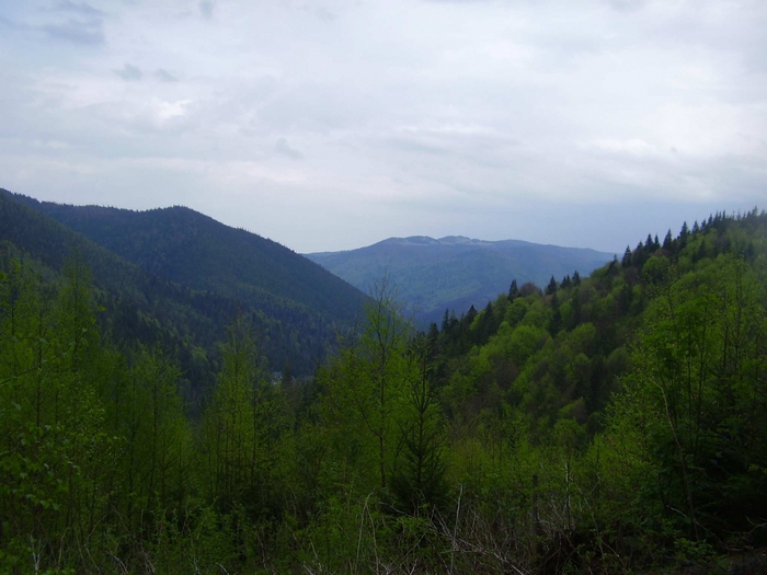 3869930_P1010113 (700x525, 226Kb)