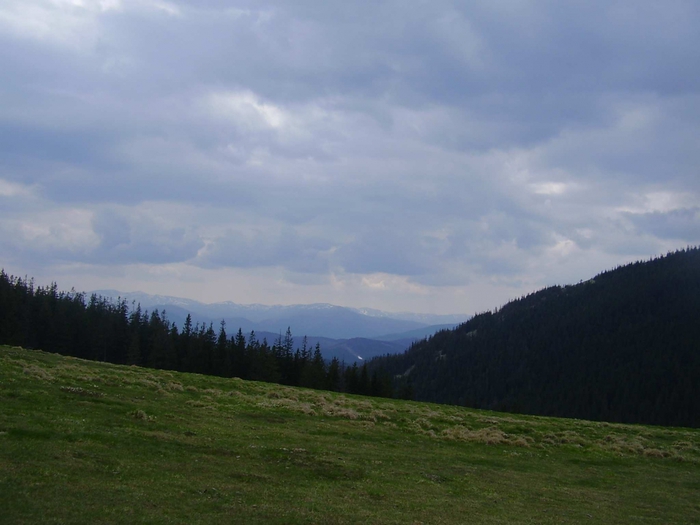 3869930_P1010092 (700x525, 194Kb)