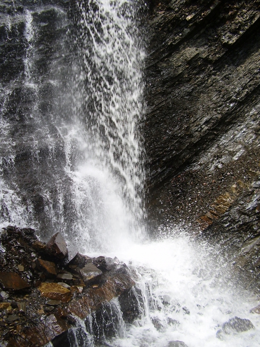 3869930_P1010037 (525x700, 347Kb)